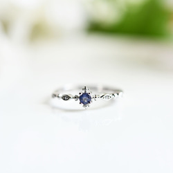 人生の羅針盤アイオライトor実りの象徴ガーネットのリング ピンキーリング　重ね付けにも～9月/1月誕生石 2枚目の画像