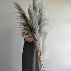 大人気 パンパスグラス グレー 3本セット ドライフラワー インテリア