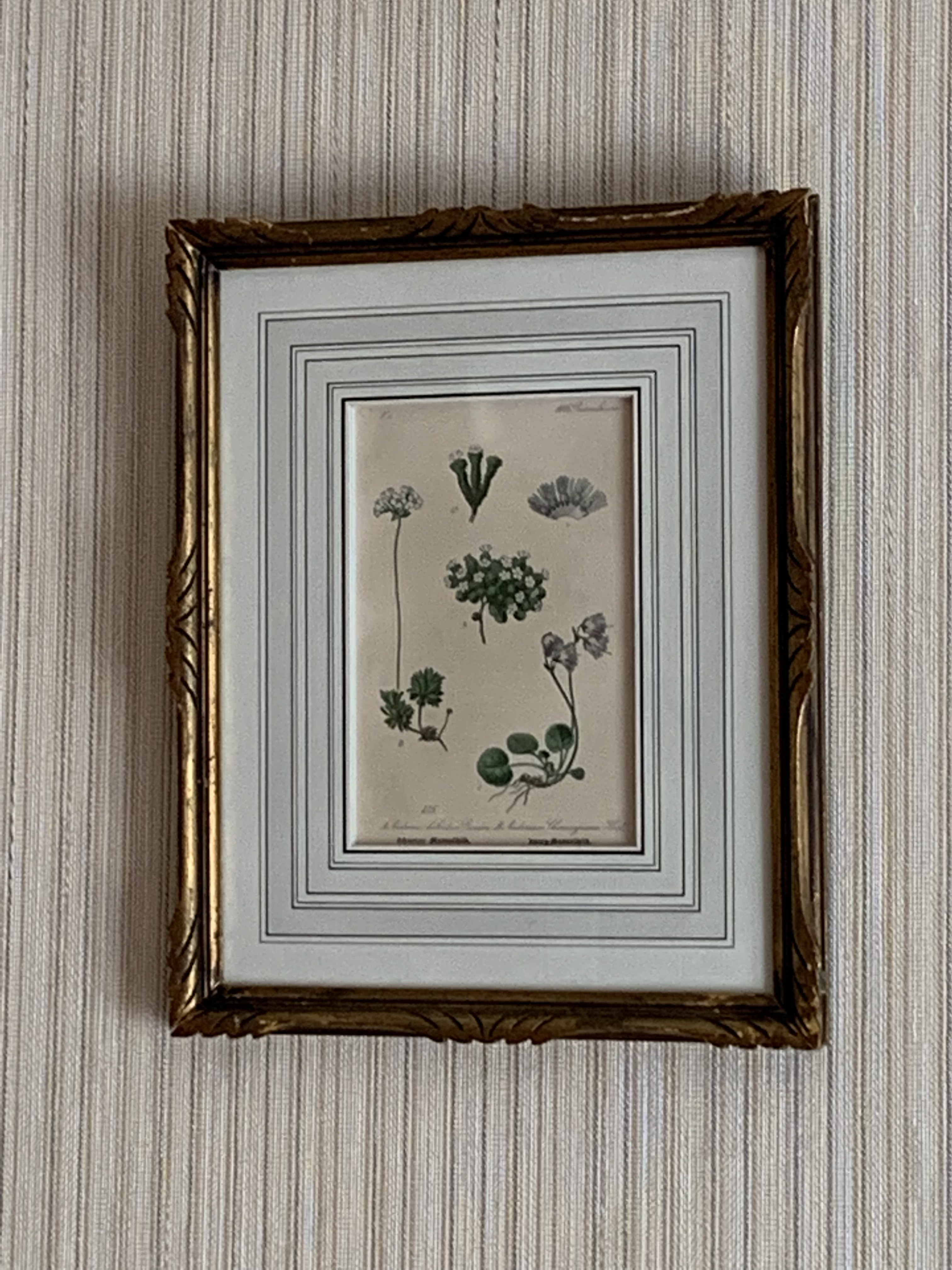 他の方発送×最大級フランス製 額装 金彩装飾縁 大判 ゴブラン織り 壁掛け 他の方発送×最大級フランス製 額装 金彩装飾縁 大判 ゴブラン織り 壁掛け