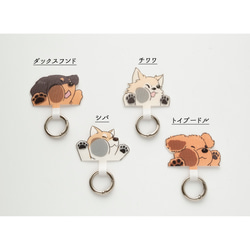 スマホショルダー ストラップ止めパーツ 【 アニマル 】 犬 猫 ストラップホルダー 母の日 FZ03K 6枚目の画像