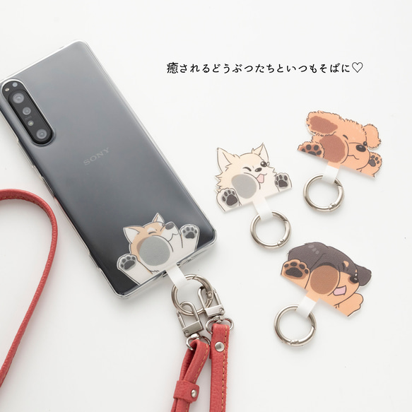 スマホショルダー ストラップ止めパーツ 【 アニマル 】 犬 猫 ストラップホルダー 母の日 FZ03K 16枚目の画像