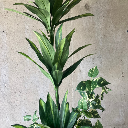 光触媒 人工観葉植物 ウォールグリーン フェイクグリーン マッサン