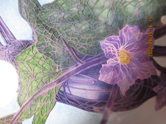 茄子　夏　秋　紫　野菜の花　 4枚目の画像