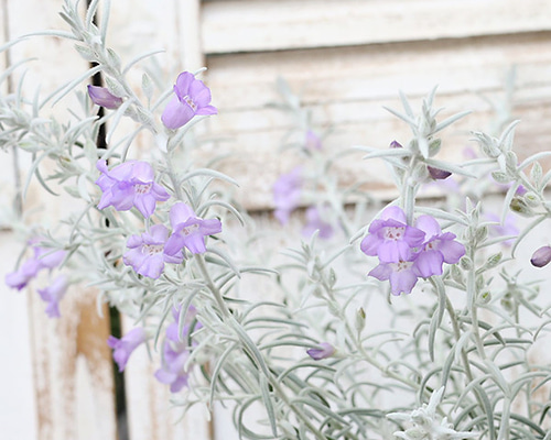 9e0b09f5c3f0b5640c6439553ce84e