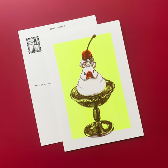 ポストカード 3枚組 - 「パーラー文鳥」プリン【No.002】 1枚目の画像