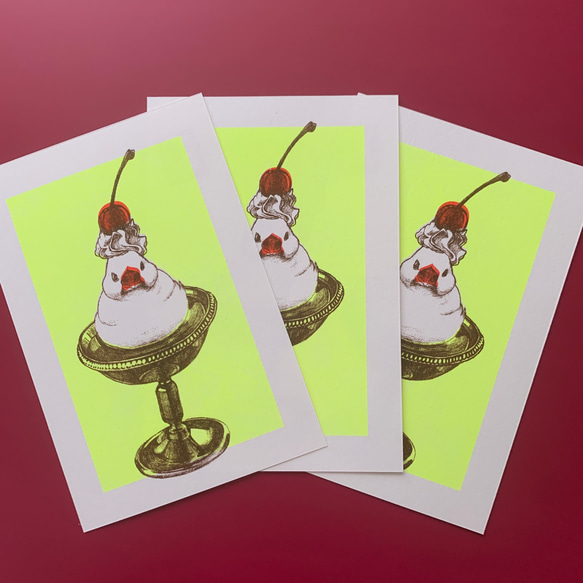 ポストカード 3枚組 - 「パーラー文鳥」プリン【No.002】 3枚目の画像
