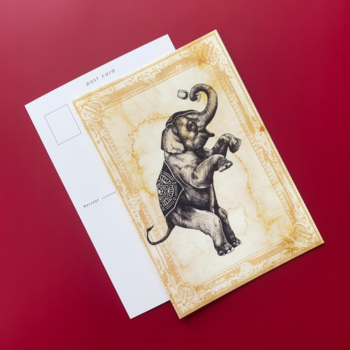 ポストカード 3枚組 - 「どうぶつのサーカス団」曲芸師のゾウ【No.005