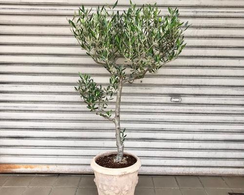 8fa58da3688c1a82593e72d5f8d392