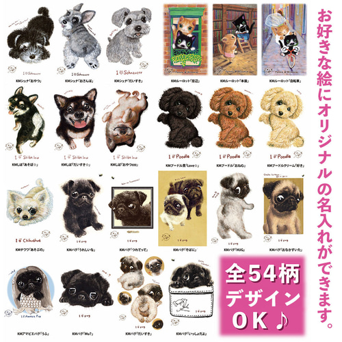シーズー】お名前入りブランケット（ひざ掛け）ラッピング対応
