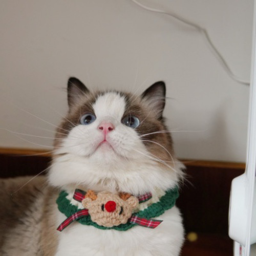 クリスマスシカサンタクロース トナカイ☆エルク☆猫&犬&用襟型ペット