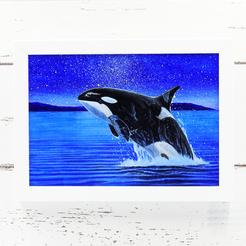 水彩原画】シャチ 227×158mm - mf-artworks - BOOTH