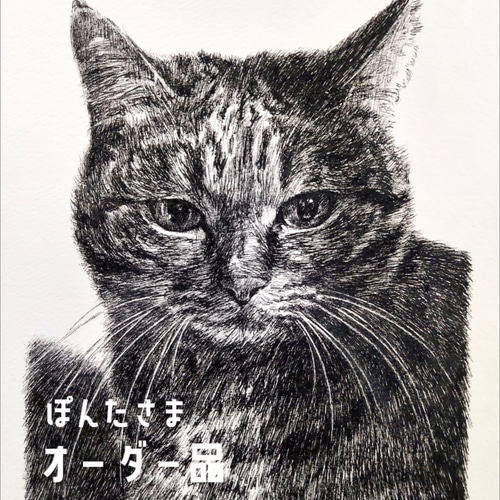 ぽんたさま オーダー品 犬の似顔絵♪ /パステル画(フルカラー