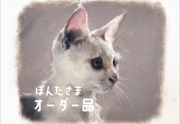 ぽんたさま オーダー品 犬の似顔絵♪ /パステル画(フルカラー