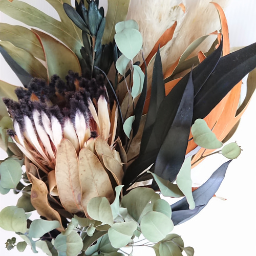 ドライフラワー★大輪プロテアネイティブスワッグ★一点物♪アンティーク♪ 大きめ』ネイティブフラワー、キングプロテア・グランデとプロテア