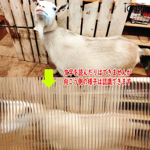 インテリア窓枠モチーフパネル(長大) オークcol. パーテーション  