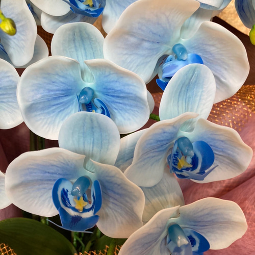 光触媒　人工観葉植物　ウォールグリーン　フェイク　フラワー　リアル胡蝶蘭b5 光触媒 人工観葉植物 ウォールグリーン フェイク フラワー リアル胡蝶