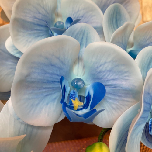 光触媒　人工観葉植物　ウォールグリーン　フェイク　フラワー　リアル胡蝶蘭b5 光触媒 人工観葉植物 ウォールグリーン フェイク フラワー リアル胡蝶