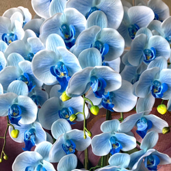 光触媒　人工観葉植物　ウォールグリーン　フェイク　フラワー　リアル胡蝶蘭b5 4枚目の画像