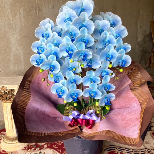 光触媒　人工観葉植物　ウォールグリーン　フェイク　フラワー　リアル胡蝶蘭b5 光触媒 人工観葉植物 ウォールグリーン フェイク フラワー リアル胡蝶