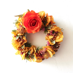 "every month Wreath"Warm orange 暖かい色づきの景色/フラワーリースΦ18cm 1枚目の画像