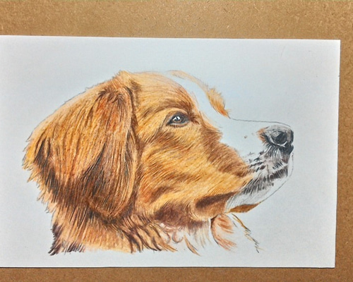 ペット似顔絵 大切なご家族(ペット)の似顔絵お描きします＜デジタルデータ