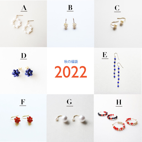 【Creema限定 / 秋の福袋2022】RICCOオリジナルピアス2点set 2枚目の画像