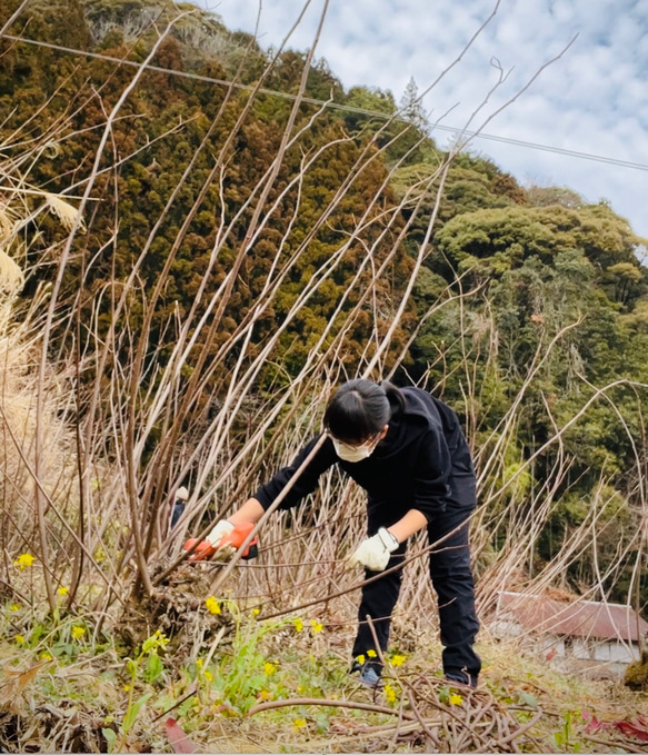 【ねこ好きさんに♪】気持ち伝える土佐和紙。素朴でかわいい土佐楮カード ーねこ 11枚目の画像