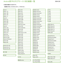  第14張的照片