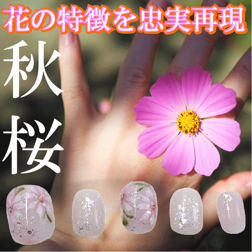 コスモス ネイルチップ 秋桜 ハンド 秋 花柄 模様 ピンク色 ホログラム  