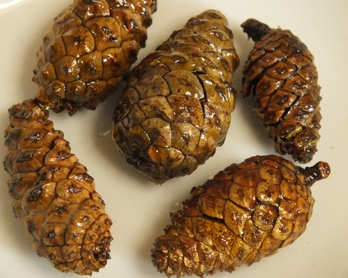 クリスマス用素材 松ぼっくり、木の実のカラ その他素材 工房谷川岳