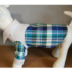 秋の新作✨犬服★カスタム・ウエスタンシャツシャツ★ドッグウェア 10枚目の画像