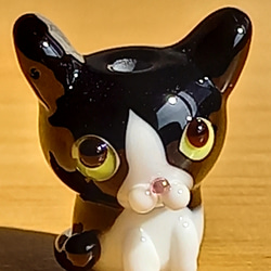 新型です(ω) とんぼ玉の黒白猫 C 1枚目の画像
