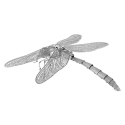 置物 昆虫モデル 4枚目の画像