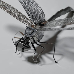 置物 昆虫モデル 5枚目の画像