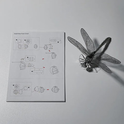 置物 昆虫モデル 3枚目の画像