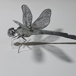 置物 昆虫モデル 2枚目の画像