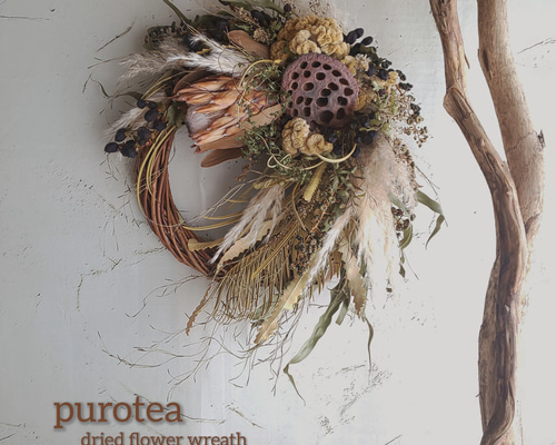 プロテア&ハスの実 秋のドライフラワーリース リース fu.wa.ran