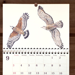 野鳥のカレンダー 2023 (壁かけ版) 4枚目の画像