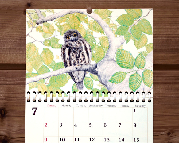 野鳥のカレンダー 2023 (壁かけ版) 5枚目の画像