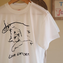 　LIVE LIKE A CAT T shirt　猫Tシャツ 2枚目の画像