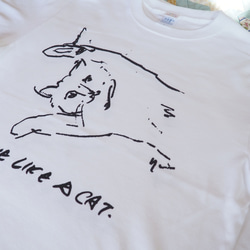 　LIVE LIKE A CAT T shirt　猫Tシャツ 6枚目の画像