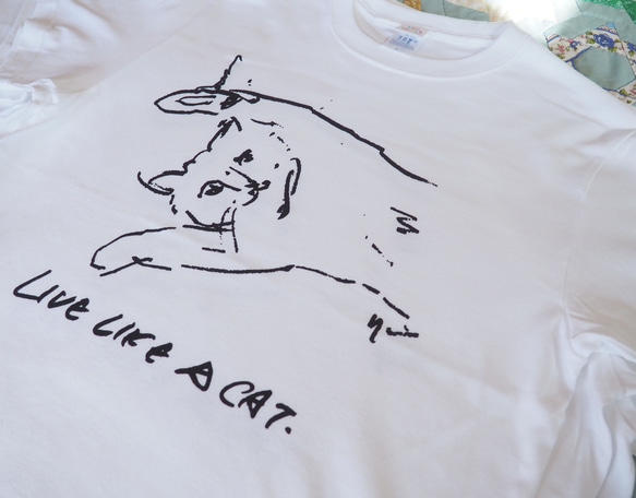 　LIVE LIKE A CAT T shirt　猫Tシャツ 6枚目の画像