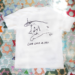 　LIVE LIKE A CAT T shirt　猫Tシャツ 1枚目の画像