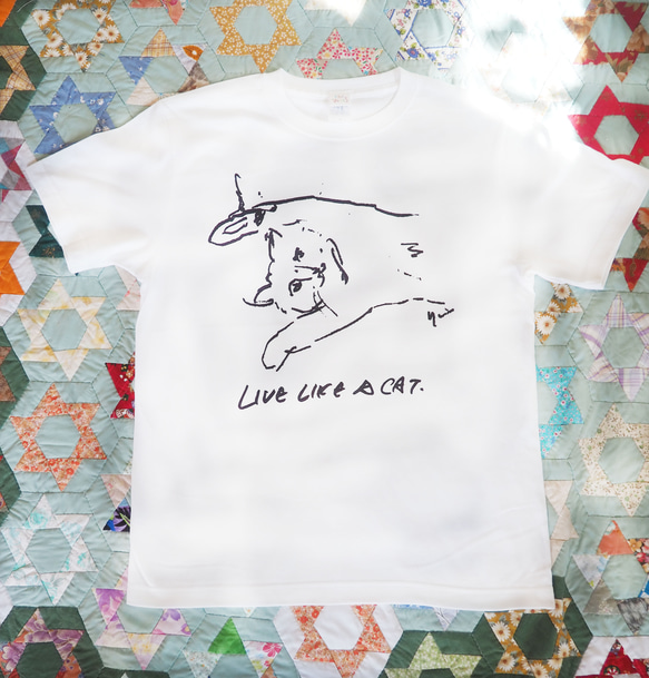 　LIVE LIKE A CAT T shirt　猫Tシャツ 1枚目の画像