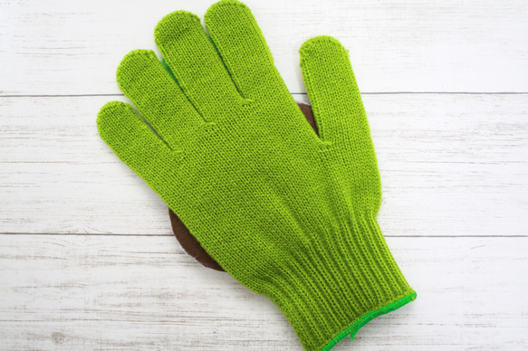 手袋シアター　「どんぐりころころ」 8枚目の画像