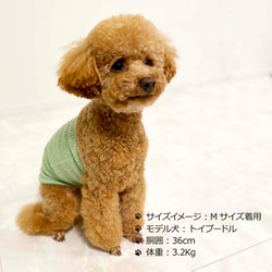 シルクメランジ ワンちゃん(超/小型犬)用 ロングタイプ 腹巻き S/Mサイズ 1枚目の画像