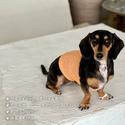 シルクメランジ ワンちゃん(超/小型犬)用 ロングタイプ 腹巻き S/Mサイズ 2枚目の画像