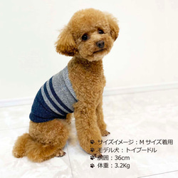 ｼﾙｸﾒﾗﾝｼﾞ ﾜﾝちゃん(超/小型犬)用 ﾛﾝｸﾞﾀｲﾌﾟ腹巻き ★切替ﾎﾞｰﾀﾞｰ S/M 2枚目の画像