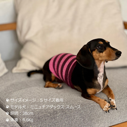 シルクメランジ ワンちゃん(超/小型犬)用 ロングタイプ腹巻き ★ボーダー  S/Mサイズ 3枚目の画像