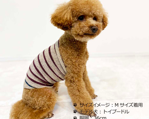 Amazon | クークチュール THZシルクハラマキ ピンク M 2023